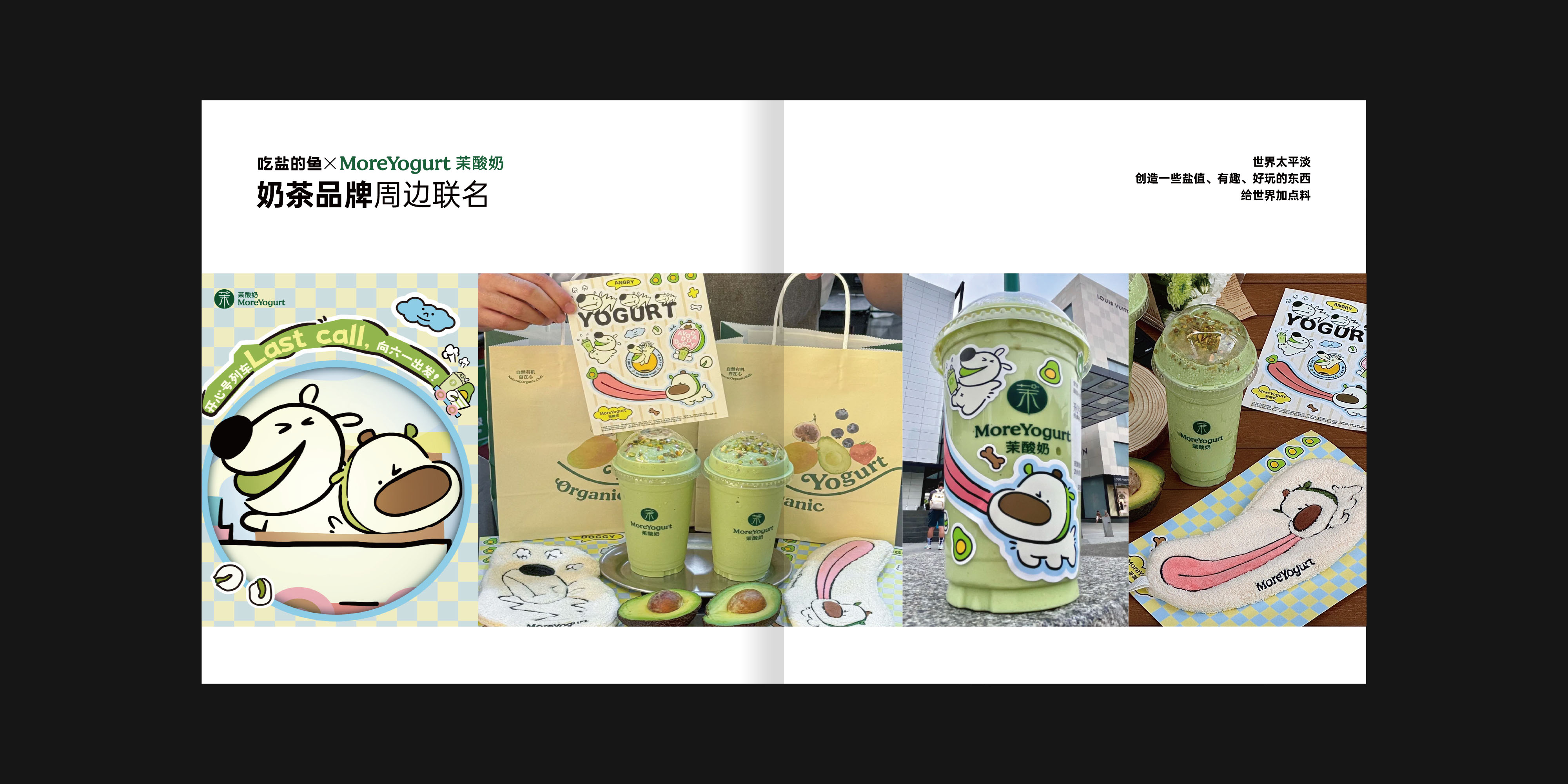 吃盐的鱼 产品动画 & 画册设计 - 3-21